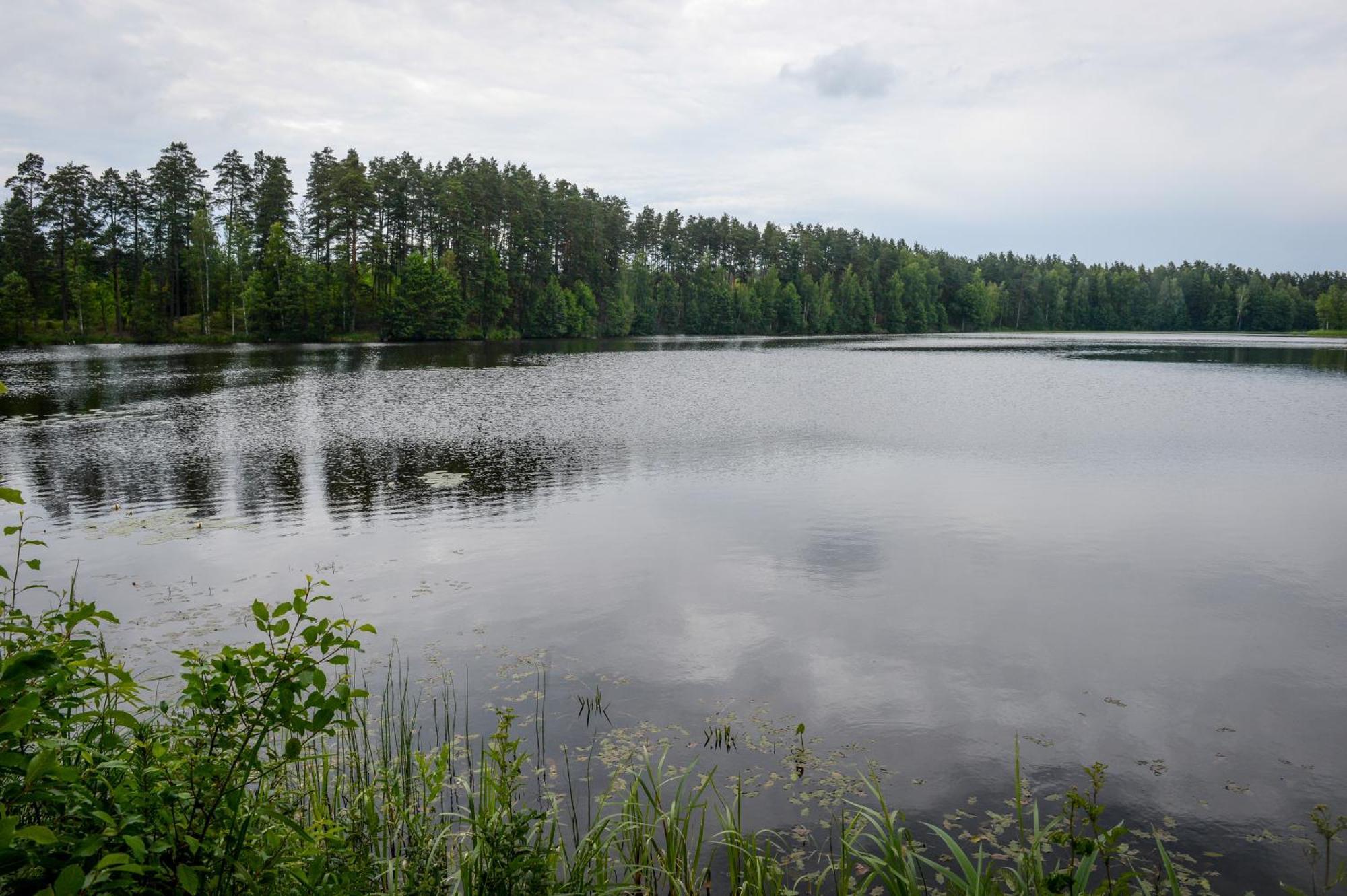 Alberta Diki Upesciems Cameră foto